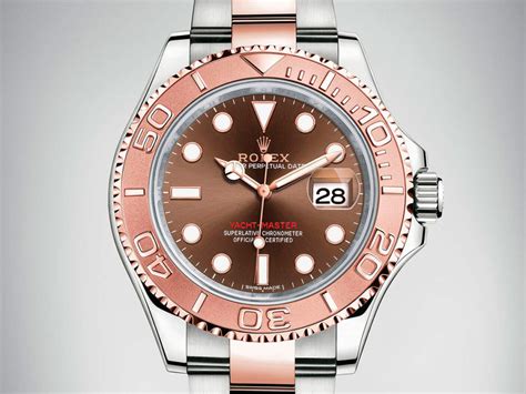 rolex rose gold yacht master